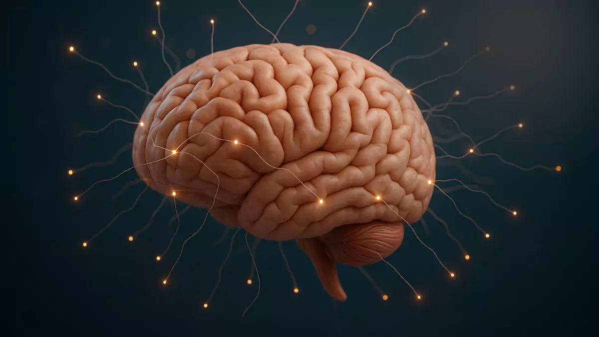 What Is Cognitive Overload?
