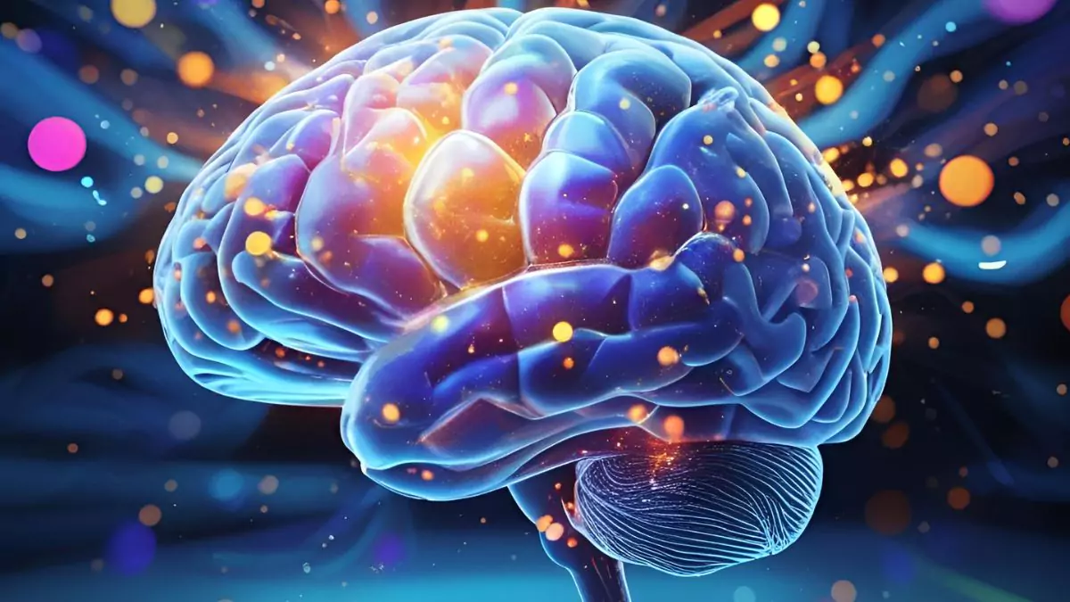 What’s Really Happening in the Creative Brain?