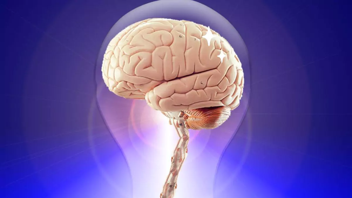 The Brain in Stillness Mode